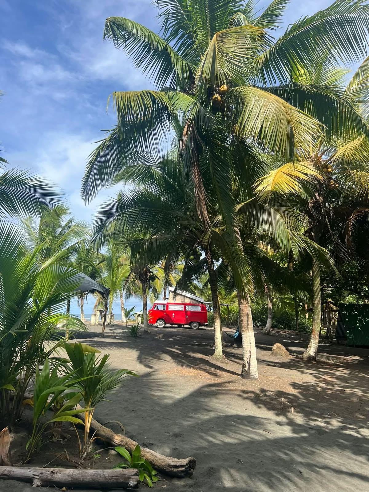 🌴 Camping Babsita – Playa Estrella