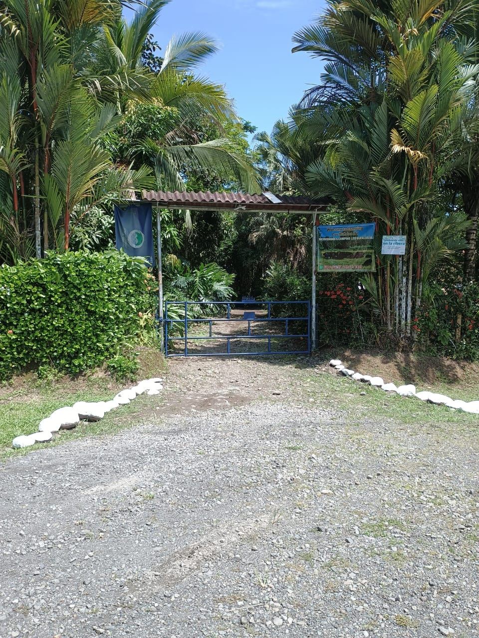 Entrada