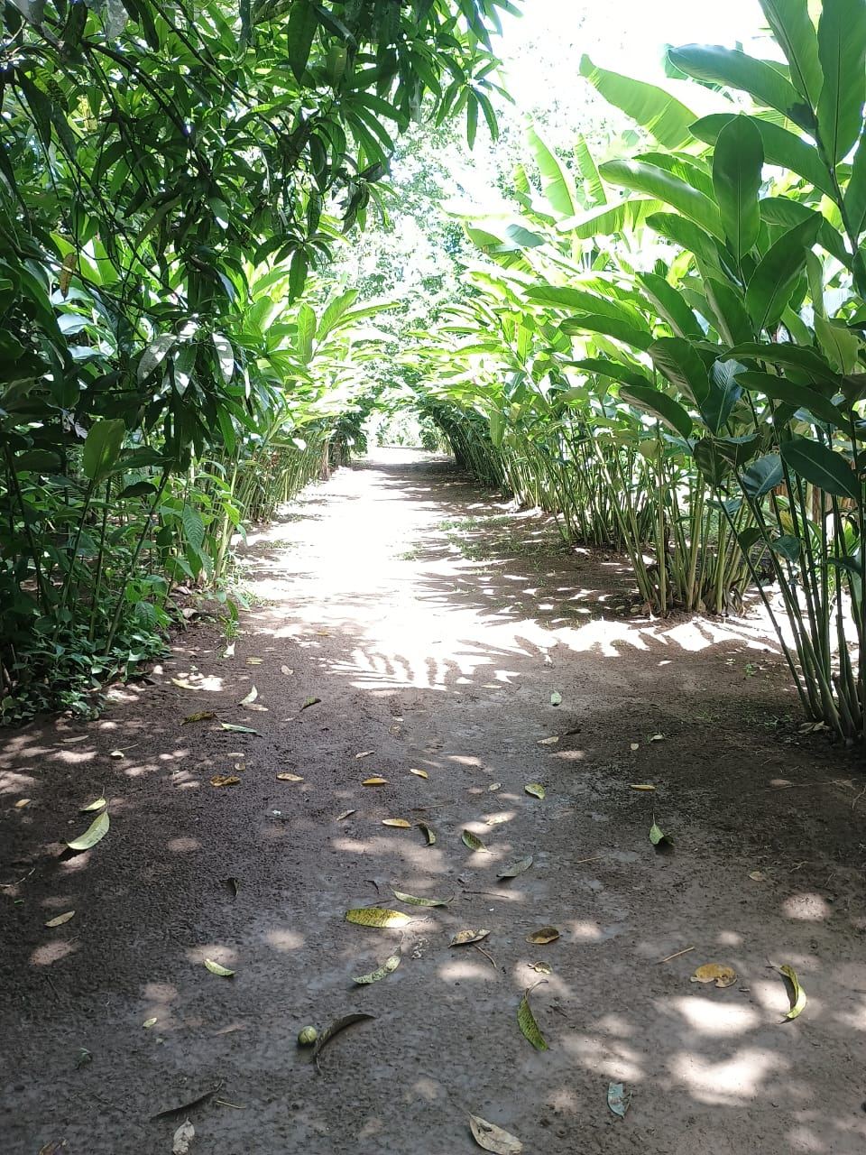 Sendero